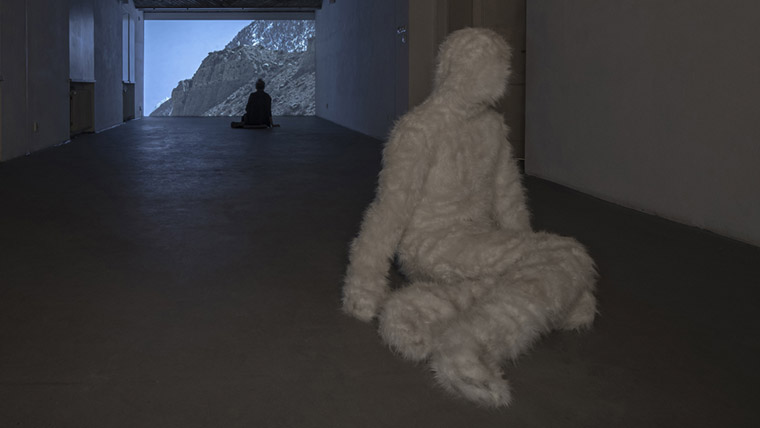 Calling to Yeti, AT Gallery, Poznań, solo show