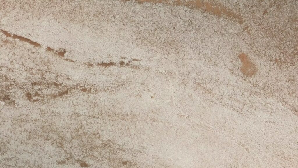 Ecosistemas oscuros / Bienal de Arte Contemporáneo / SACO 1.2